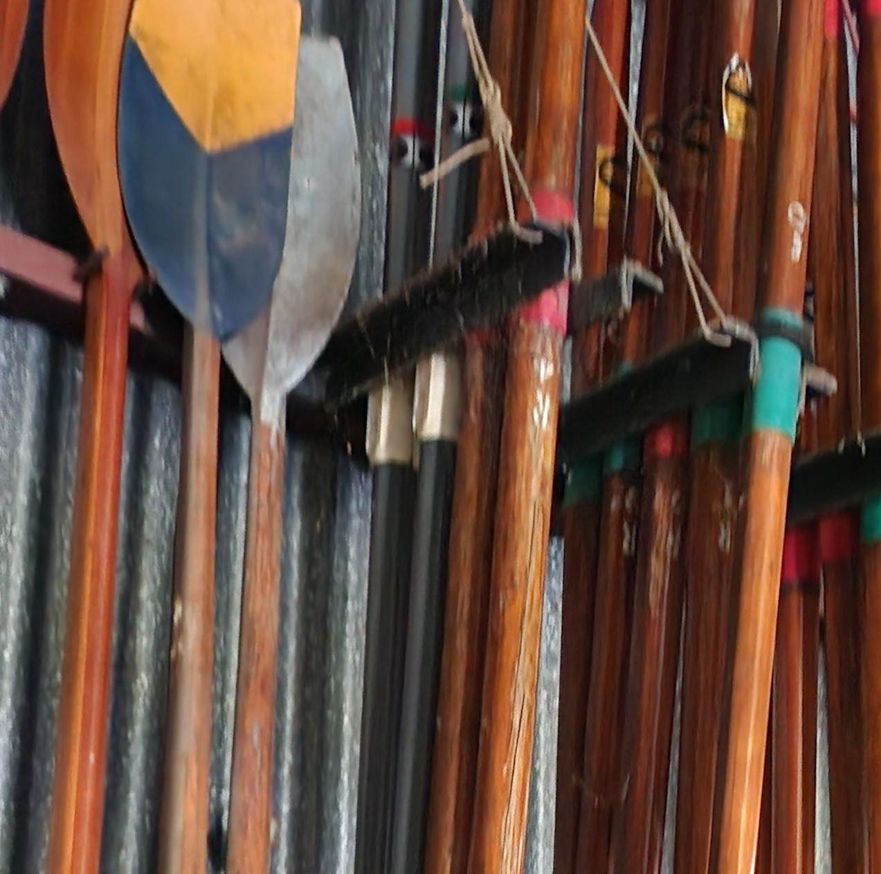 Wooden rowing and sculling oars in Minninup pool rowing shed from 1930's